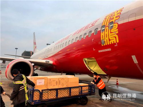 云南民航運(yùn)輸部門(mén)全力保障疫情防控物資與飼料生產(chǎn)運(yùn)輸