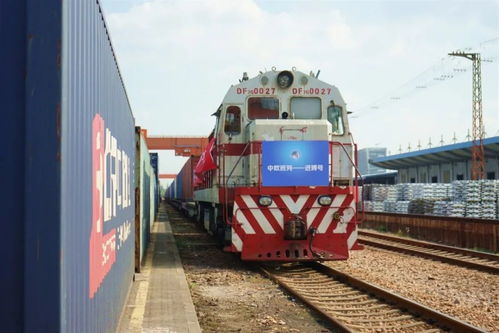 鐵路運(yùn)輸助力進(jìn)博會(huì) 飼料生產(chǎn)展品高效直達(dá)