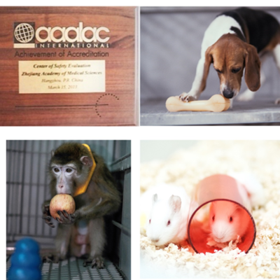 構建協同發展新格局 動物福利在飼料生產與安全性評價研究中的核心地位